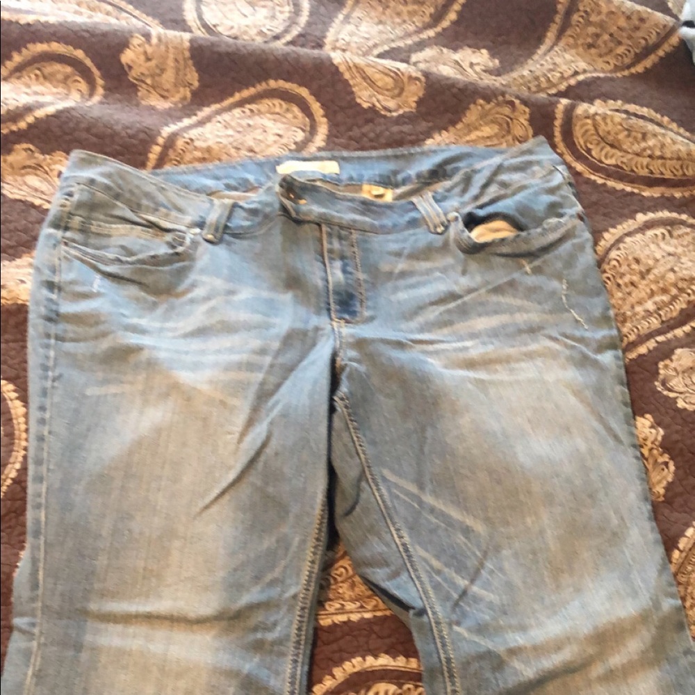 Distressed Paris Blues NWOT Jeans Plus Size